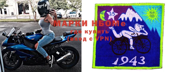 СК Новозыбков