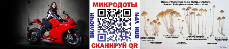 Псилоцибиновые грибы Psilocybe мориарти состав Олёкминск